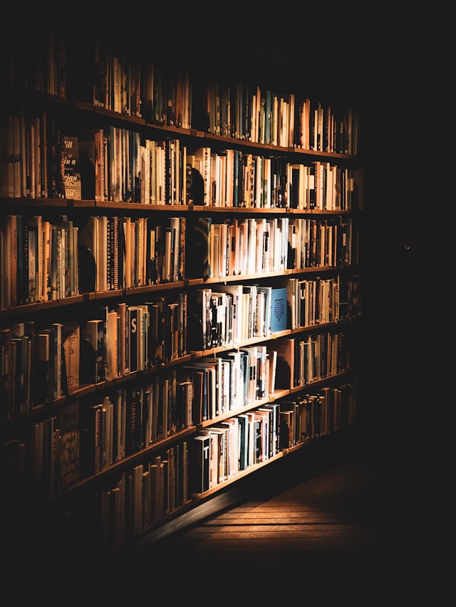 large bookshelf in the dark